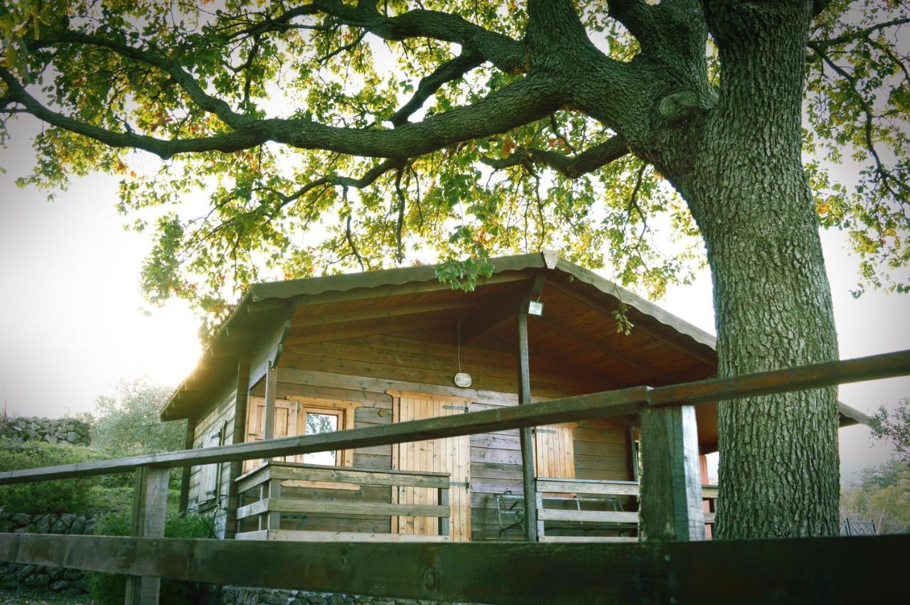 Alloggio per agriturismo Kikajon Linguaglossa